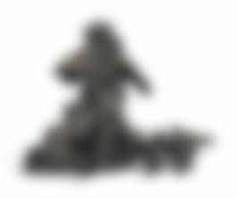 auction-image