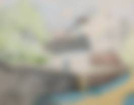auction-image