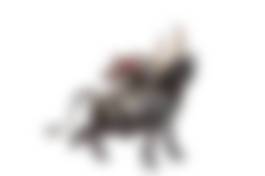 auction-image