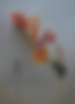 auction-image