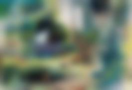 auction-image