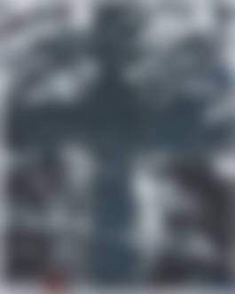 auction-image