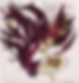 auction-image