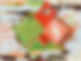 auction-image
