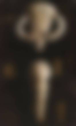 auction-image