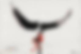 auction-image