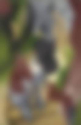 auction-image