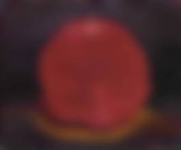 auction-image