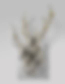 auction-image
