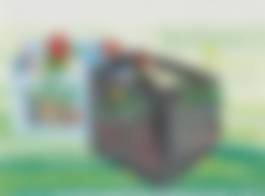 auction-image