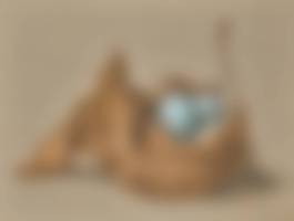auction-image