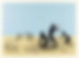 auction-image