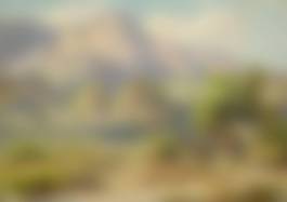 auction-image