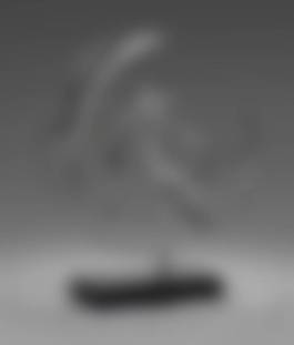 auction-image