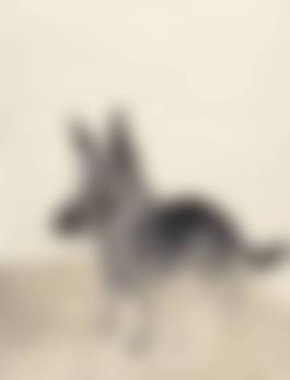 auction-image
