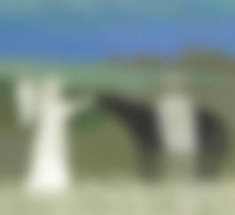 auction-image