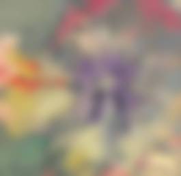 auction-image