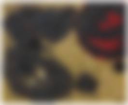 auction-image
