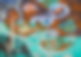 auction-image