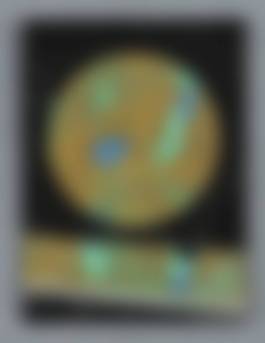 auction-image
