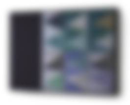 auction-image