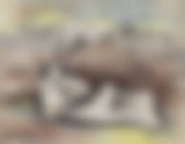 auction-image