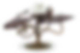 auction-image