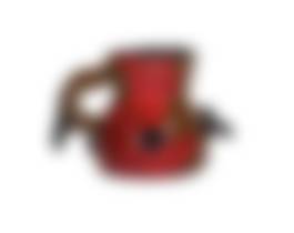 auction-image