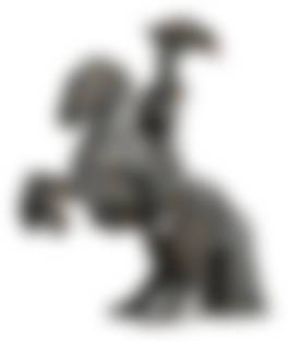 auction-image