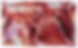 auction-image
