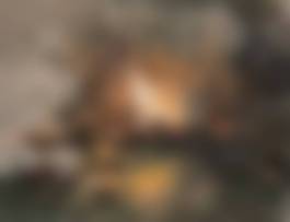 auction-image