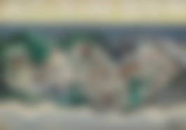 auction-image