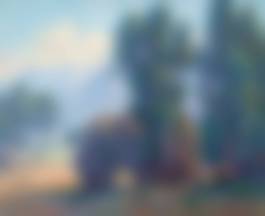 auction-image