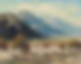 auction-image