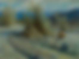 auction-image