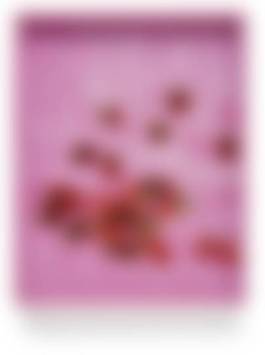 auction-image