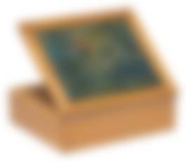 auction-image