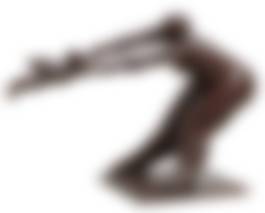 auction-image