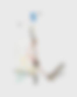 auction-image