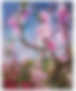 auction-image
