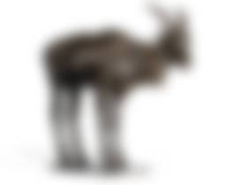 auction-image