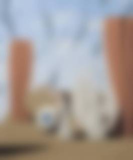 auction-image