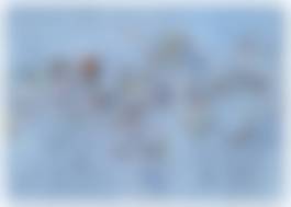 auction-image