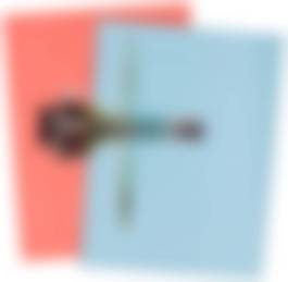 auction-image