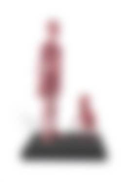 auction-image