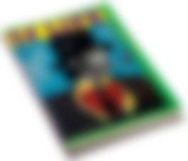 auction-image