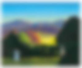 auction-image