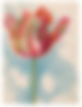 auction-image