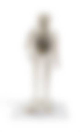 auction-image