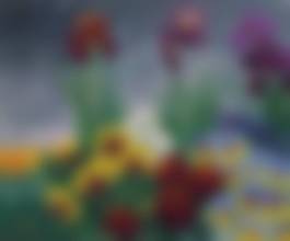 auction-image